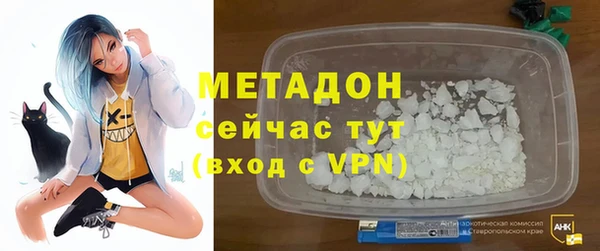 индика Инта