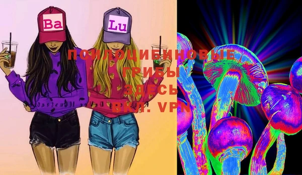 индика Инта