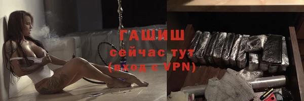 индика Инта